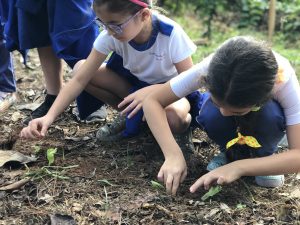 Leia mais sobre o artigo Instituto Casológica e Sustentabilidade – 2º ano