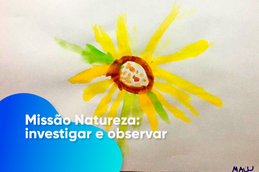 Leia mais sobre o artigo Missão Natureza: investigar e observar | Infantil 4