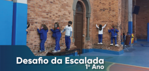 Leia mais sobre o artigo Desafio da escalada – 1º ano