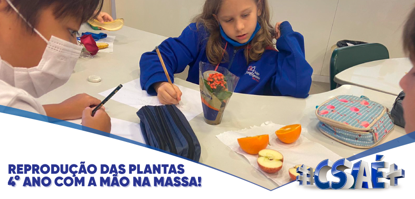 Leia mais sobre o artigo Reprodução das plantas – 4° ano com a mão na massa!